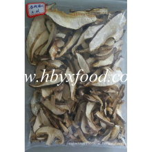 Grown in 2016 Top Quality Dried Mushroom Slices